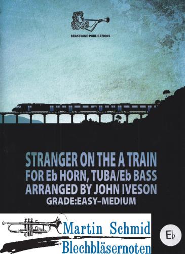 Artikelbild des Artikels “Stranger on the A Train (Hr in Es) “