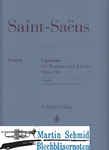 Artikelbild des Artikels “Cavatine op.144 “