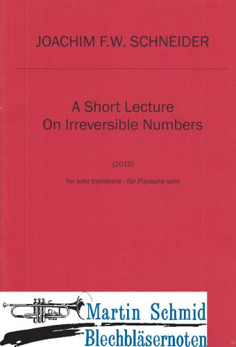 Product image of the product “A Short Lecture On Irreversible Numbers ”