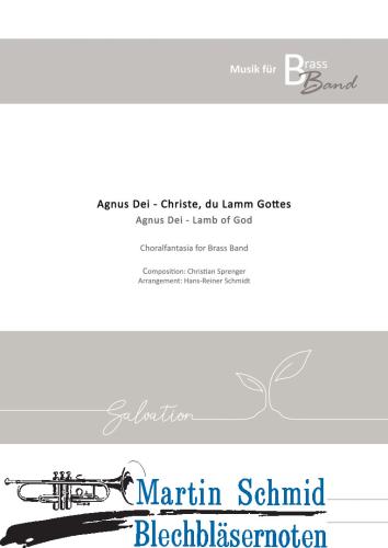 Artikelbild des Artikels “Agnus Dei - Christe, du Lamm Gottes “