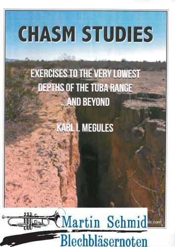 Product image of the product “Chasm Studies  ”