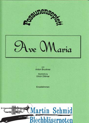 Product image of the product “Ave Maria (7Pos) ”