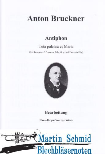 Artikelbild des Artikels “Antiphon (403.01.Pk.Orgel) “