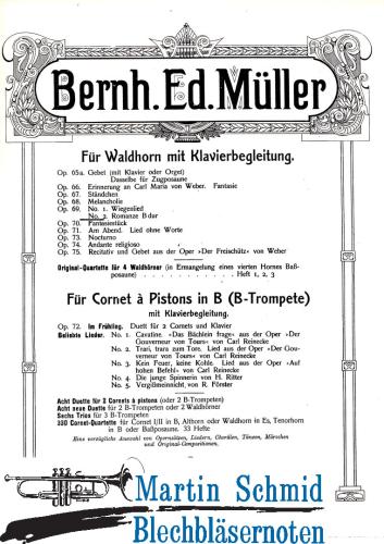 Artikelbild des Artikels “Romanze B-Dur op.69/2 “