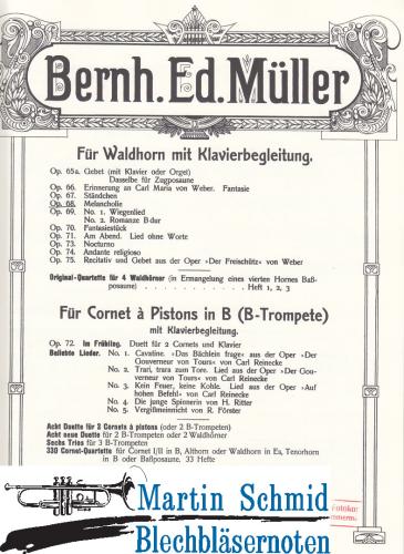 Artikelbild des Artikels “Melancholie op.68 “