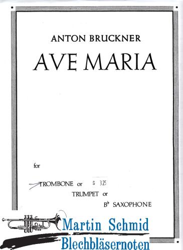 Artikelbild des Artikels “Ave Maria “