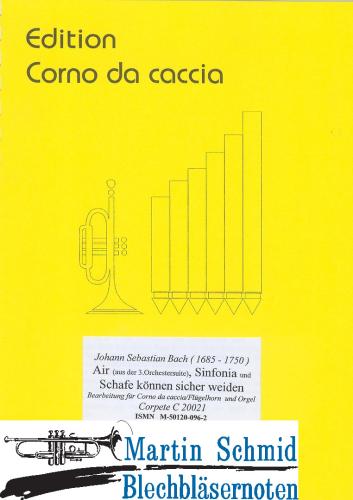 Artikelbild des Artikels “Air aus der 3. Orchestersuite, Sinfonia & Schafe können sicher weiden (Corno da caccia) “