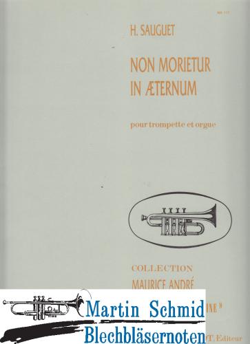 Product image of the product “Non morietur in Æternam ”