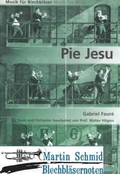 Pie Jesu (Orchester) 