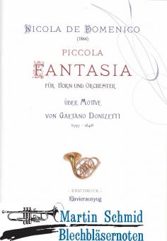 Piccola Fantasia über Mozive von Gaetano Donizetti 