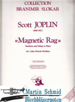 Magnetic Rag 