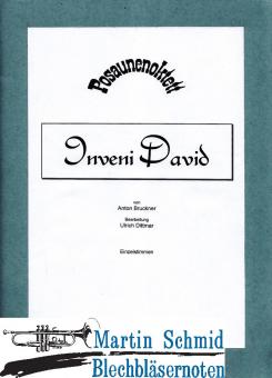 Inveni David (8Pos) Stimmen 