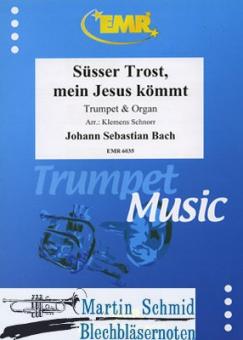 Süsser Trost, mein Jesus kömmt BWV 151 