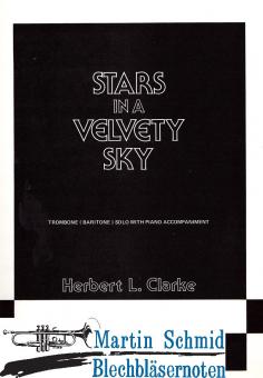 Stars in a Velvet Sky 