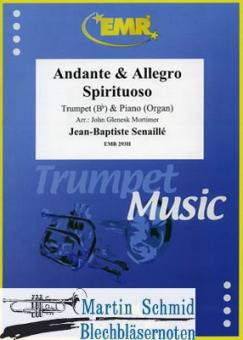 Andante & Allegro Spiritoso 