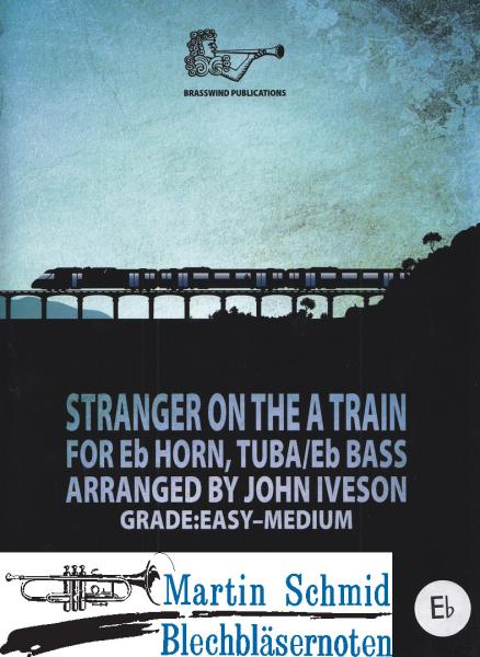 Artikelbild 1 des Artikels “Stranger on the A Train (Hr in Es) “