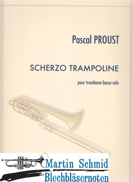 Product image 1 of the product “Scherzo trampoline ”