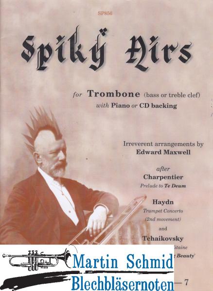 Product image 1 of the product “Spiky Airs - Irreverent arrangements ”