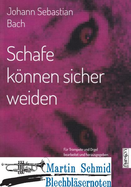 Artikelbild 1 des Artikels “Schafe können sicher weiden “
