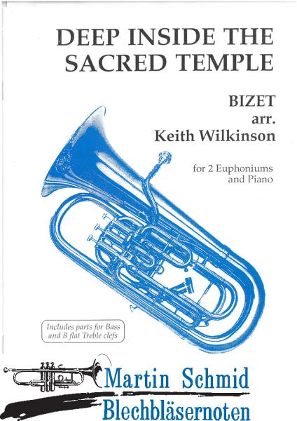Product image 1 of the product “Deep Inside the Sacred Temple ”
