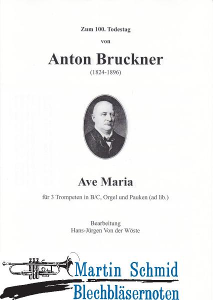 Product image 1 of the product “Ave Maria (Pk) ”