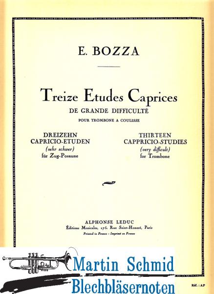 Artikelbild 1 des Artikels “13 Etudes Caprices de grande difficulté “