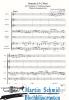 Artikelbild 2 des Artikels “Sonata à 5 C-Dur (Trompete.2Violinen.Fagott.Viola da gamba.Bc) (Edward Tarr Collection) “