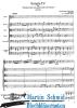 Artikelbild 2 des Artikels “Sonate Nr. IV (Trp.Vl.2Vla.Vlc.Bc) “