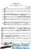 Artikelbild 2 des Artikels “Sonate Nr. VII (2Trp.2Vl.Vlc.Bc) “