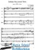 Artikelbild 2 des Artikels “Jubilate Deo omnis Terra (Trompete, Bass,Violine, Viola und B.c.) “