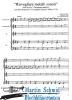 Artikelbild 2 des Artikels “Risvegliare metalli sonori (Alt.2Trompeten.Bc) “