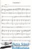 Artikelbild 2 des Artikels “3 Concertinos “
