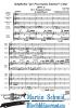 Product image 2 of the product “Sinfonia 