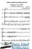 Artikelbild 2 des Artikels “Sonata op.3 Nr.1 D-Dur (Trompete.2Violinen.Bc) (Sonate e sinfonie con tromba sola) (Collection Arne Thielemann) “