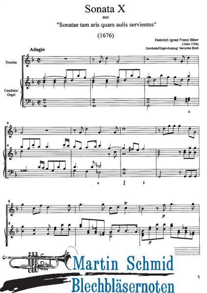 Artikelbild des Artikels “Sonata X “