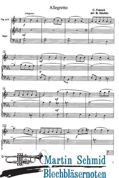 Product image of the product “Romantische Musik ”