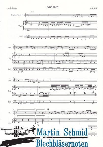 Product image of the product “Andante (Trompete und Orgel/2 Trompeten und Orgel) ”