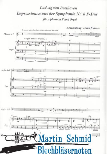 Artikelbild des Artikels “Impressionen aus der Symphonie Nr.6 F-Dur “