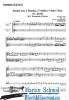 Artikelbild 3 des Artikels “Sonata C-Dur (2Trompeten.Klavier)(G.deest) (Edward Tarr Collection) “