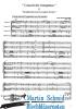 Artikelbild 3 des Artikels “Concert de Trompettes aus 