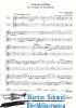 Artikelbild 3 des Artikels “Concerto (Collection Arne Thielemann) “