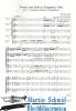 Product image 3 of the product “Sonata cum Tubis et Tympanis C-Dur (2-4 Trompeten.Pauken.Orgel/Klavier) (Collection Arne Thielemann) ”