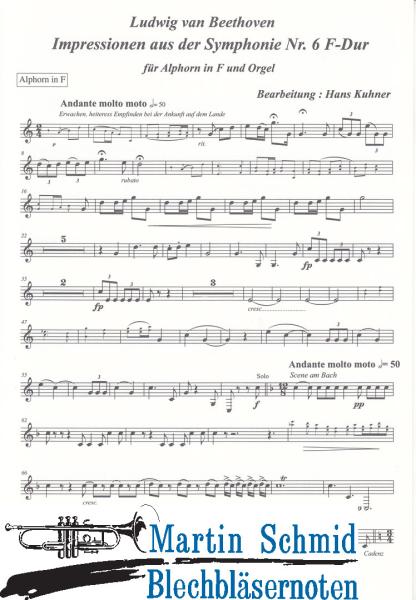 Artikelbild 3 des Artikels “Impressionen aus der Symphonie Nr.6 F-Dur “