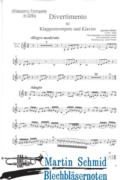 Artikelbild 3 des Artikels “Divertimento für Klappentrompete und Klavier (Immer Klappentrompete) “